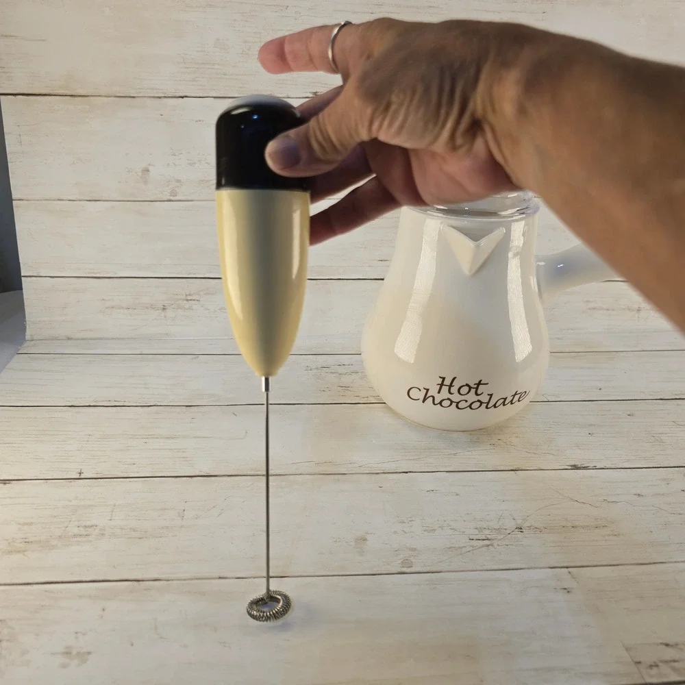 Williams-Sonoma Bonjour Hot Chocolate Ceramic Pitcher and Frother Set White
